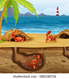 Underground animal hole with many crabs illustration