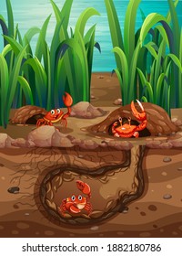Underground animal hole with many crabs illustration