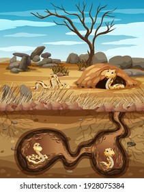 Underground Animal Hole With Many Snakes Illustration