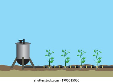 Underground Drip Irrigation And Fertilize System. Automatic Sprinklers System. Smart Farming Application Concept. Saving Water And Time