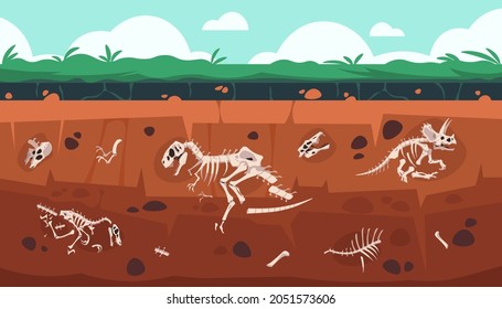Underground fossil. Cartoon Earth ground layers with dinosaur skeleton and skull. Extinct reptile bones science exploration. Vector geology and paleontology excavation illustration
