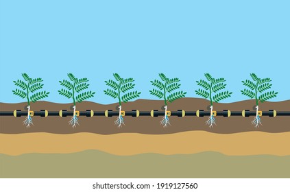 Underground or in ground drip irrigation system. Automatic sprinklers system. Vector illustration flat design. Smart farming application concept. Saving water and time.  Plant irrigation