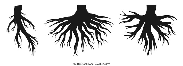 Underground root system silhouette. Black silhouette of tangled tree roots spreading outward. Perfect for nature, ecology, or botanical design themes. Vector illustration.