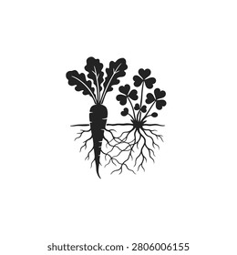 An underground silhouette depicting the root interactions of radish and nitrogen fixing clover