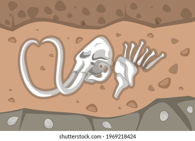 Underground soil with mammoth fossils illustration