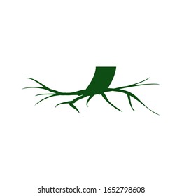 Underground tree roots. Tree root icon with a white background. Vector illustration.