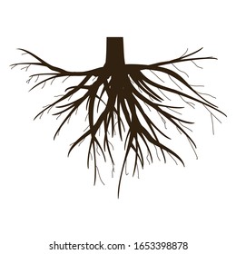 Underground tree roots. Tree root icon with a white background. Vector illustration.