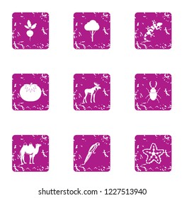 Undergrowth icons set. Grunge set of 9 undergrowth vector icons for web isolated on white background