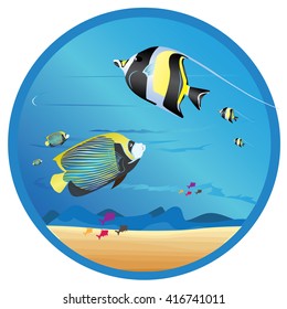undermarine life