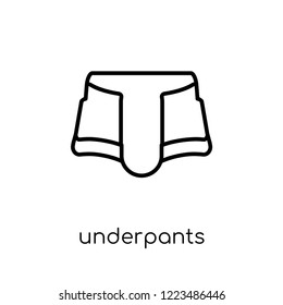 underpants icon. Trendy modern flat linear vector underpants icon on white background from thin line Clothes collection, outline vector illustration