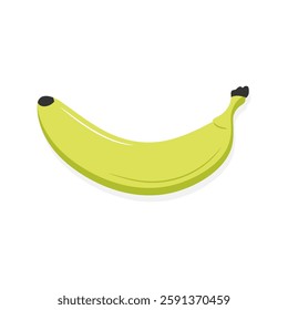 Underripe banana fruit isolated on white background. Green cartoon banana. Vector illustration