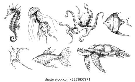 Cartoon Sea Animal In Black And White High-Res Vector Graphic - Getty Images