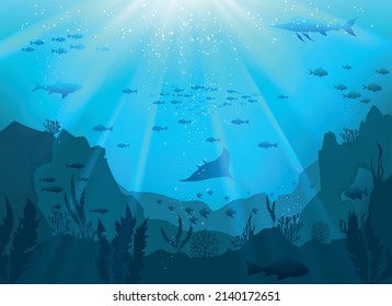 5,211 Undersea panorama Images, Stock Photos & Vectors | Shutterstock