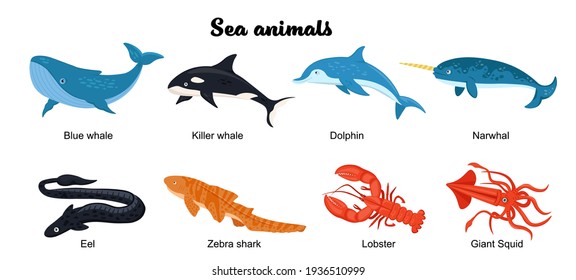 Undersea inhabitants. Endangered species. Sea animals set. killer whale; dolphin; narwhal; zebra shark; eel; lobster. Threatened whales. Flat cartoon style. Vector illustration in bright colors 
