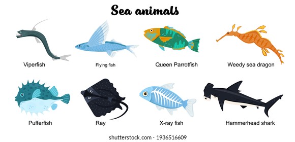 47 Parrotfish Cartoon Images, Stock Photos & Vectors | Shutterstock