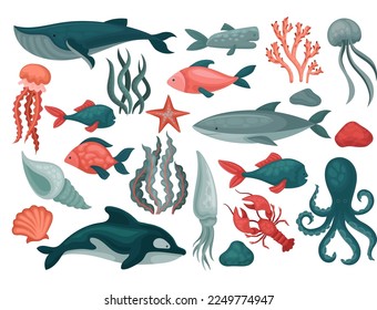 Undersea Marine Mammals with Whale, Shark, Octopus, Fish, Squid, Algae and Shells Big Vector Set