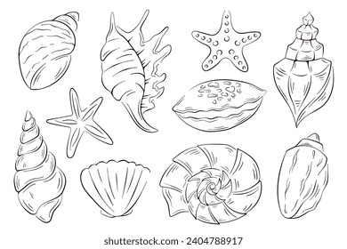 Undersea shells set in line art style. Summer design for fish restaurant, package, logo, icon, menu. Vector illustration isolated on a white background.