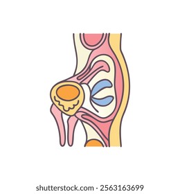 Understanding Cartilage Anatomy with Detailed Illustration