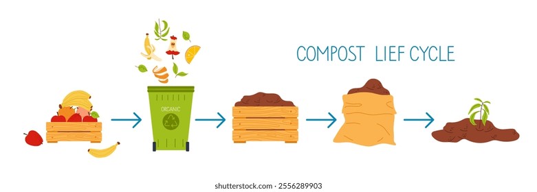 Understanding the compost life cycle from organic waste to fertile soil