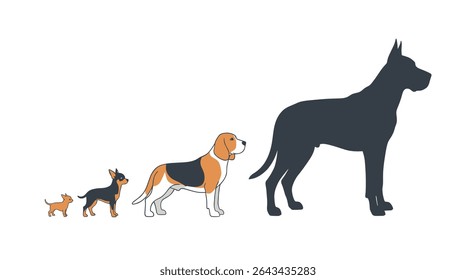 Compreender as raças de cães que exploram a diversidade canina e as características únicas de cada raça