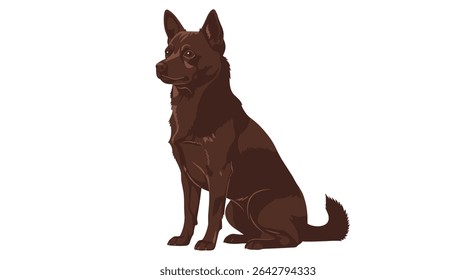 Understanding Dogs The Behavior Training and Care of These Wonderful Canine Companions