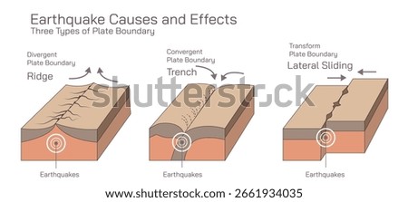 Understanding Earthquakes, Causes, Types, Effects, Safety Measures, Preparedness Tips, and Global Impact of Seismic Activities Explained with Vector illustration, study material for students