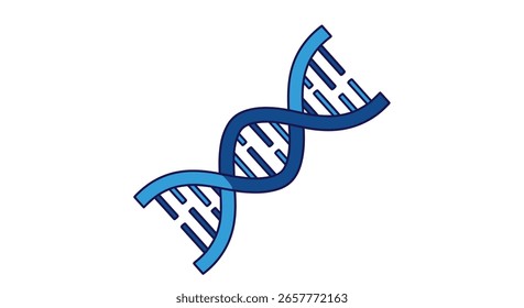 Compreender os alicerces fundamentais da vida e da hereditariedade através da estrutura de dupla hélice do adn