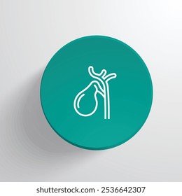 Understanding the Gallbladder Functions, Disorders, and Treatment Options
