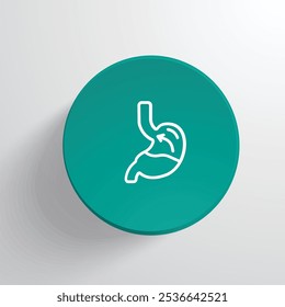 Understanding GERD Symptoms, Causes, and Effective Treatment Options