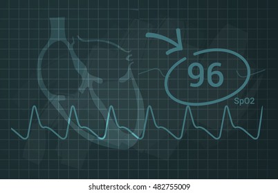 Understanding Heart & Blood Flow