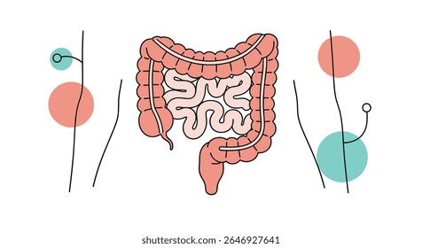 Understanding The Intricate Anatomy Of The Human Digestive Tract And Its Vital Role In Health