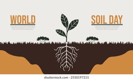Understanding Soil Health on World Soil Day