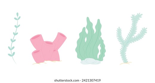 Underwater algae and coral vector clipart illustration. Hand drawn underwater plants on white isolated background. Algae and corals in flat style