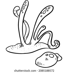 Underwater algae or plants near rocks sketch vector illustration hand draw