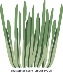 Underwater algae plants vector illustration