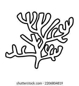 Underwater algae. Seaweed. Ocean doodle hand drawn vector illustration isolated on white.