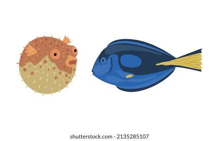 Underwater Animals with Blue Fish and Blowfish Vector Set