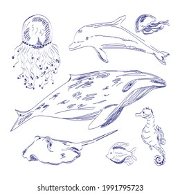 Underwater animals collection vector illustration in doodle style. Whale, dolphin, stingray, seahorse jellyfish and fish. Marine wild life set.
