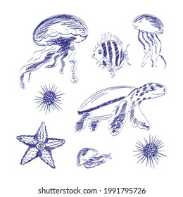 Underwater animals collection vector illustration in doodle style. Sea turtle, jellyfish, starfish, sea urchin and small fish.
