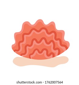 Underwater animals, mollusk, Shell. Marine life, ecosystem of the seabed. Cartoon vector isolated illustration on a white background.