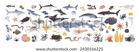 Underwater animals set. Different undersea fishes, algaes. Sea wildlife. Ocean fauna, water nature. Shark, killer whale, octopus, dolphin. Flat isolated vector illustrations on white background