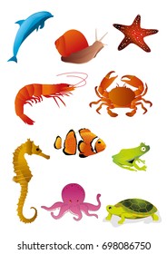 Underwater animals: shark, Snail, starfish, shrimp, crab, seahorse, clown fish, frog, octopus, turtle