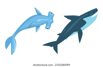 Underwater Animals with Winghead Shark and Whale Vector Set
