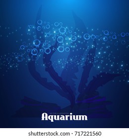 Underwater, Aquarium Background. Seaweed, Bubbles and Rocks. Undersea. Magic Game Backdrop with Shine Effect. Vector illustration