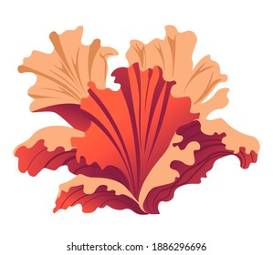 Underwater or aquarium seaweed, colorful botany and plants of sea or ocean. Composition of oceanic fauna. Flora growing in salt water. Organic ecosystem and undersea wildlife. Vector in flat style