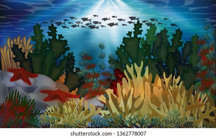 Underwater background with algae and starfish, vector illustration