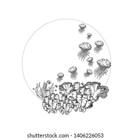 underwater background, coral fish,algae ,hand drawing ,vector,jellyfish