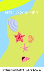 Underwater background. Cute colorful seashells and starfish. Summer design. Vector background