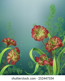 Underwater background with different aquatic plants and bubbles.