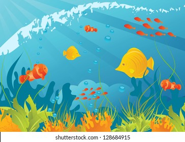 Underwater background with different fishes, algae and corals